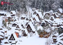 Tour Nhật Bản Đón Năm Mới Ở Làng Cổ Shirakawago 6N5Đ